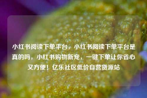 小红书阅读下单平台，小红书阅读下单平台是真的吗，小红书购物新宠，一键下单让你省心又方便！亿乐社区低价自营货源站  第1张