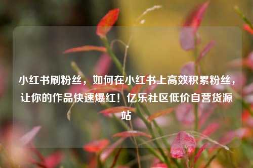 小红书刷粉丝，如何在小红书上高效积累粉丝，让你的作品快速爆红！亿乐社区低价自营货源站  第1张
