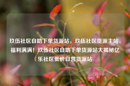 玖伍社区自助下单货源站，玖伍社区货源主站，福利满满！玖伍社区自助下单货源站大揭秘亿乐社区低价自营货源站  第1张