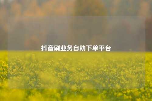 抖音刷业务自助下单平台  第1张