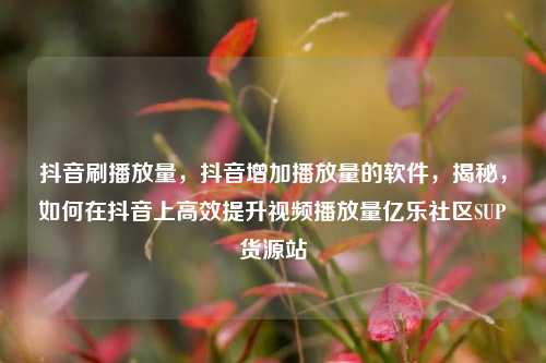 抖音刷播放量，抖音增加播放量的软件，揭秘	，如何在抖音上高效提升视频播放量亿乐社区SUP货源站  第1张