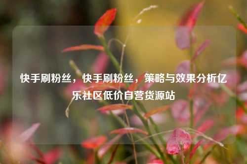 快手刷粉丝，快手刷粉丝，策略与效果分析亿乐社区低价自营货源站  第1张