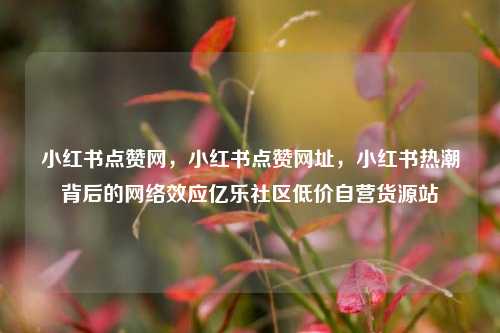 小红书点赞网，小红书点赞网址	，小红书热潮背后的网络效应亿乐社区低价自营货源站  第1张