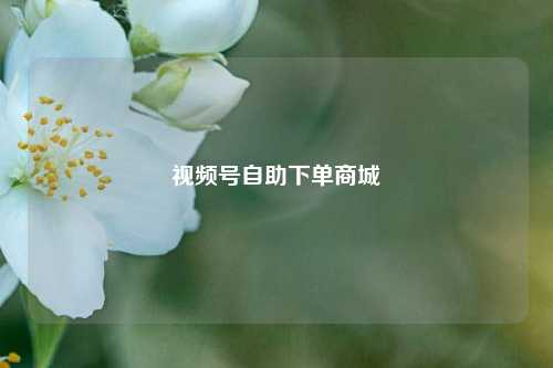 视频号自助下单商城  第1张