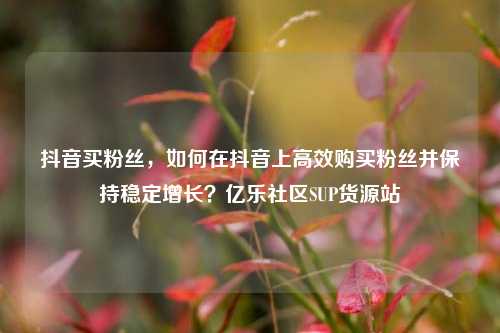 抖音买粉丝，如何在抖音上高效购买粉丝并保持稳定增长？亿乐社区SUP货源站  第1张