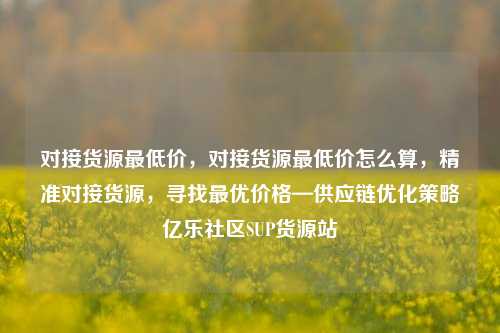 对接货源最低价，对接货源最低价怎么算，精准对接货源，寻找最优价格—供应链优化策略亿乐社区SUP货源站  第1张