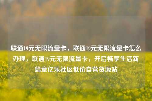 联通19元无限流量卡，联通19元无限流量卡怎么办理	，联通19元无限流量卡，开启畅享生活新篇章亿乐社区低价自营货源站  第1张