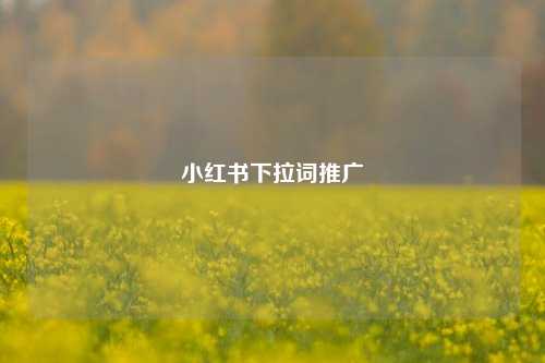 小红书下拉词推广  第1张