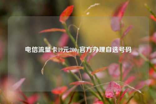 电信流量卡19元200g官方办理自选号码  第1张
