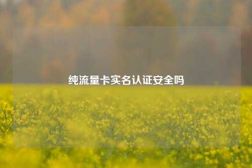 纯流量卡实名认证安全吗  第1张