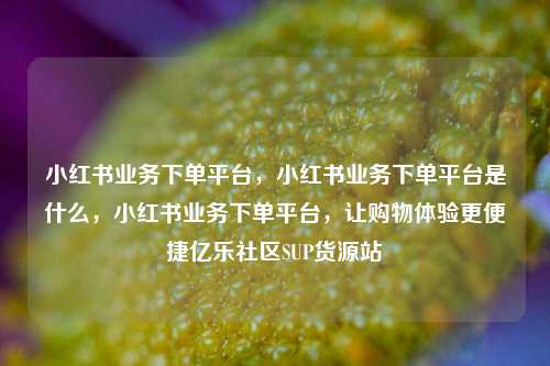 小红书业务下单平台	，小红书业务下单平台是什么，小红书业务下单平台，让购物体验更便捷亿乐社区SUP货源站  第1张