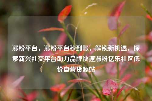 涨粉平台，涨粉平台秒到账，解锁新机遇，探索新兴社交平台助力品牌快速涨粉亿乐社区低价自营货源站  第1张