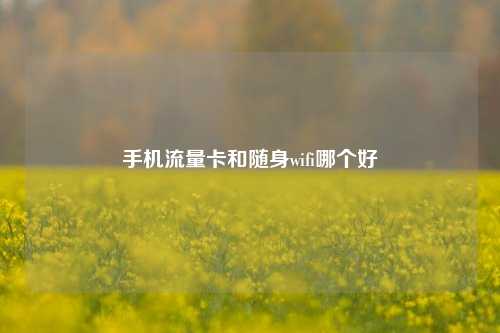 手机流量卡和随身wifi哪个好  第1张