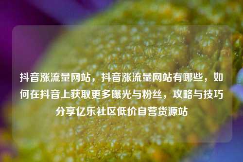 抖音涨流量网站，抖音涨流量网站有哪些，如何在抖音上获取更多曝光与粉丝	，攻略与技巧分享亿乐社区低价自营货源站  第1张
