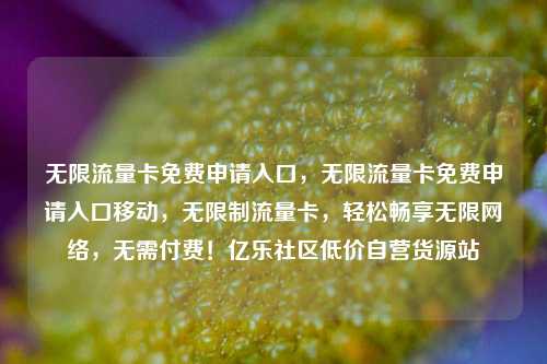 无限流量卡免费申请入口，无限流量卡免费申请入口移动	，无限制流量卡，轻松畅享无限网络，无需付费！亿乐社区低价自营货源站  第1张