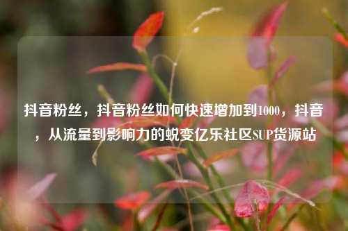 抖音粉丝	，抖音粉丝如何快速增加到1000，抖音，从流量到影响力的蜕变亿乐社区SUP货源站  第1张