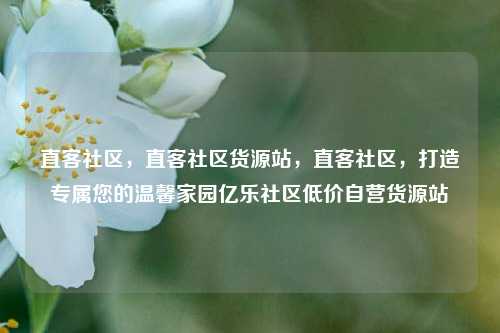 直客社区，直客社区货源站	，直客社区，打造专属您的温馨家园亿乐社区低价自营货源站  第1张
