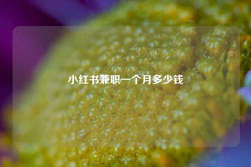 小红书兼职一个月多少钱  第1张