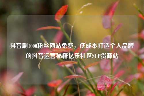 抖音刷1000粉丝网站免费，低成本打造个人品牌的抖音运营秘籍亿乐社区SUP货源站  第1张