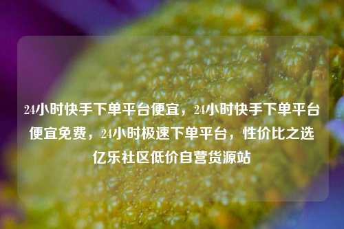 24小时快手下单平台便宜，24小时快手下单平台便宜免费，24小时极速下单平台	，性价比之选亿乐社区低价自营货源站  第1张