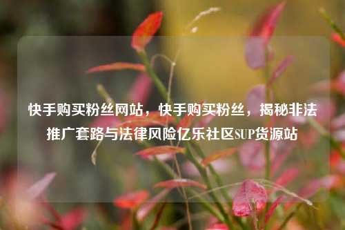 快手购买粉丝网站，快手购买粉丝	，揭秘非法推广套路与法律风险亿乐社区SUP货源站  第1张