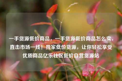 一手货源低价商品，一手货源低价商品怎么卖，直击市场一线！独家低价货源	，让你轻松享受优质商品亿乐社区低价自营货源站  第1张