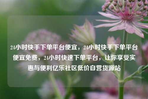 24小时快手下单平台便宜，24小时快手下单平台便宜免费，24小时快速下单平台	，让你享受实惠与便利亿乐社区低价自营货源站  第1张