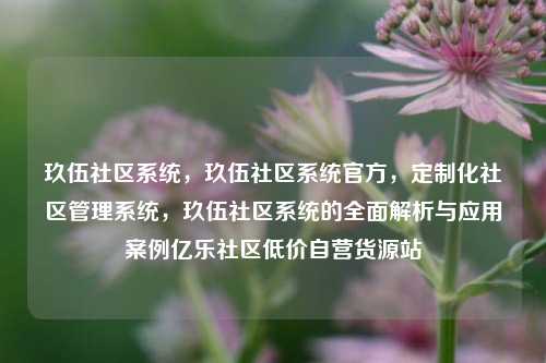 玖伍社区系统	，玖伍社区系统官方，定制化社区管理系统，玖伍社区系统的全面解析与应用案例亿乐社区低价自营货源站  第1张