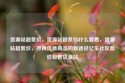 货源站超低价，货源站超低价什么意思，货源站超低价	，寻找优质商品的新途径亿乐社区低价自营货源站  第1张