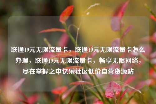 联通19元无限流量卡，联通19元无限流量卡怎么办理	，联通19元无限流量卡，畅享无限网络，尽在掌握之中亿乐社区低价自营货源站  第1张