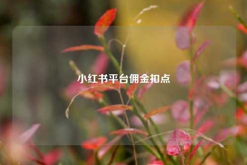 小红书平台佣金扣点  第1张