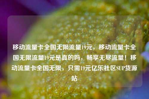 移动流量卡全国无限流量19元，移动流量卡全国无限流量19元是真的吗	，畅享无尽流量！移动流量卡全国无限，只需19元亿乐社区SUP货源站  第1张