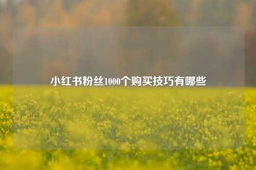 小红书粉丝1000个购买技巧有哪些  第1张