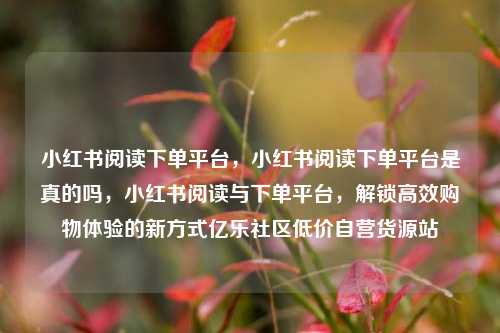 小红书阅读下单平台	，小红书阅读下单平台是真的吗，小红书阅读与下单平台，解锁高效购物体验的新方式亿乐社区低价自营货源站  第1张