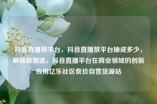 抖音直播放平台，抖音直播放平台抽成多少，解锁新潮流	，抖音直播平台在商业领域的创新应用亿乐社区低价自营货源站  第1张