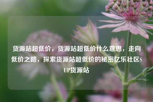货源站超低价，货源站超低价什么意思	，走向低价之路，探索货源站超低价的秘密亿乐社区SUP货源站  第1张