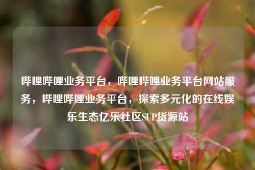 哔哩哔哩业务平台，哔哩哔哩业务平台网站服务	，哔哩哔哩业务平台，探索多元化的在线娱乐生态亿乐社区SUP货源站  第1张