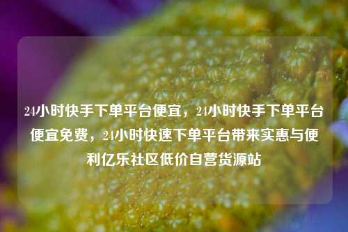 24小时快手下单平台便宜，24小时快手下单平台便宜免费，24小时快速下单平台带来实惠与便利亿乐社区低价自营货源站  第1张