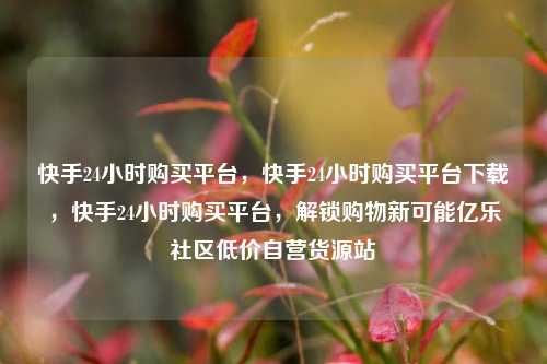 快手24小时购买平台，快手24小时购买平台下载	，快手24小时购买平台，解锁购物新可能亿乐社区低价自营货源站  第1张