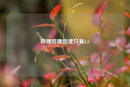 哔哩哔哩倍速只有1.5  第1张