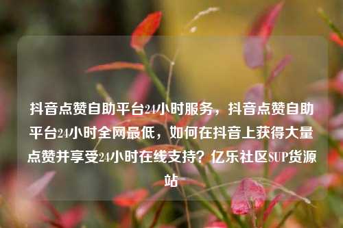抖音点赞自助平台24小时服务	，抖音点赞自助平台24小时全网最低，如何在抖音上获得大量点赞并享受24小时在线支持？亿乐社区SUP货源站  第1张