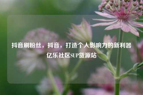 抖音刷粉丝，抖音，打造个人影响力的新利器亿乐社区SUP货源站  第1张
