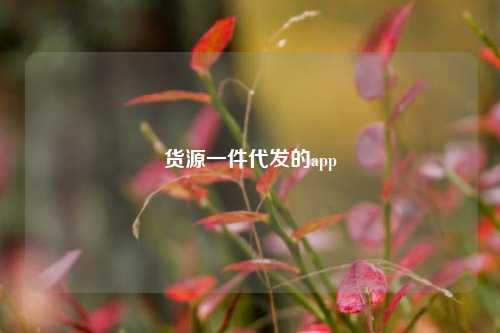 货源一件代发的app  第1张