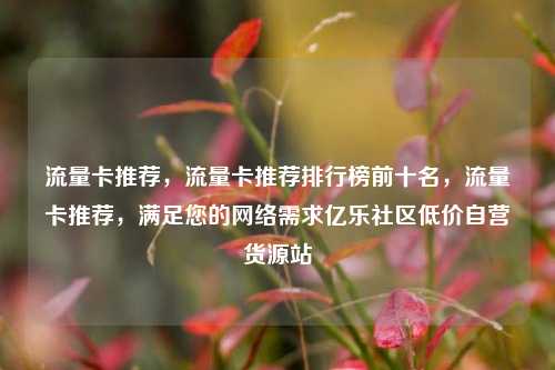 流量卡推荐	，流量卡推荐排行榜前十名，流量卡推荐，满足您的网络需求亿乐社区低价自营货源站  第1张
