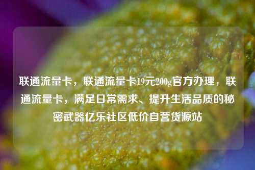 联通流量卡，联通流量卡19元200g官方办理，联通流量卡，满足日常需求、提升生活品质的秘密武器亿乐社区低价自营货源站  第1张