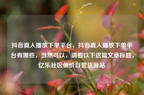 抖音真人播放下单平台，抖音真人播放下单平台有哪些	，当然可以，请看以下这篇文章标题，亿乐社区低价自营货源站  第1张