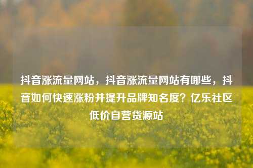 抖音涨流量网站，抖音涨流量网站有哪些，抖音如何快速涨粉并提升品牌知名度？亿乐社区低价自营货源站  第1张
