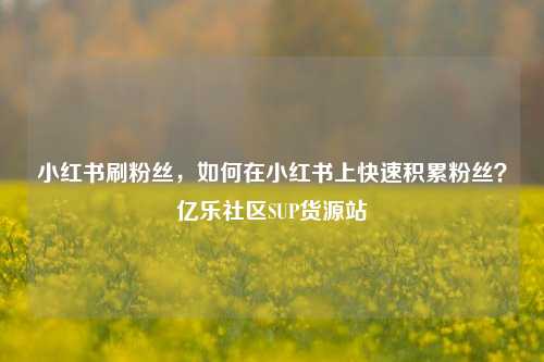小红书刷粉丝	，如何在小红书上快速积累粉丝？亿乐社区SUP货源站  第1张