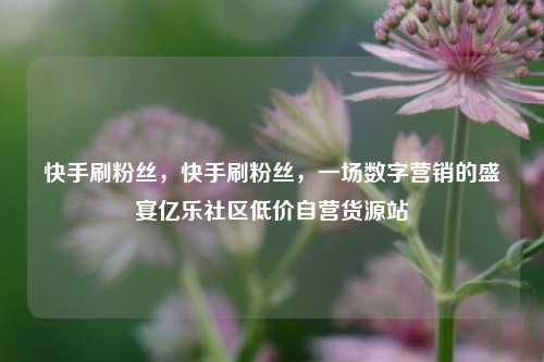 快手刷粉丝，快手刷粉丝，一场数字营销的盛宴亿乐社区低价自营货源站  第1张