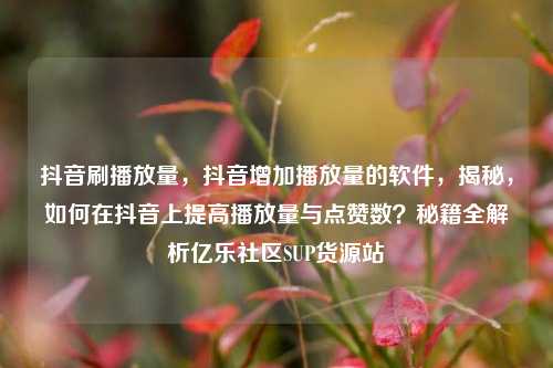 抖音刷播放量，抖音增加播放量的软件，揭秘，如何在抖音上提高播放量与点赞数？秘籍全解析亿乐社区SUP货源站  第1张